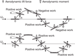 Methods for flutter stability analysis of long-span bridges: A review